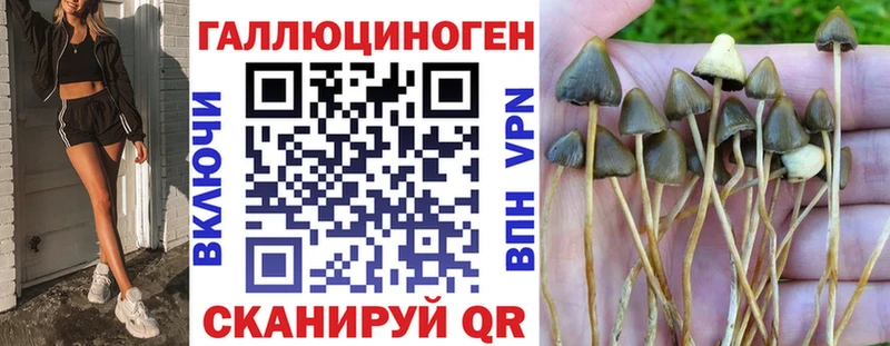Галлюциногенные грибы MAGIC MUSHROOMS  Купить где  Георгиевск 